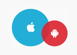 新一輪咨詢(xún)工作開(kāi)展